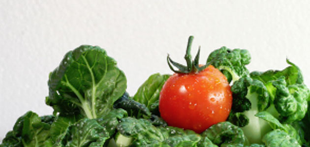 Nullam ante diam, interdum sit amet sodales nec, mollis lobortis sapien.